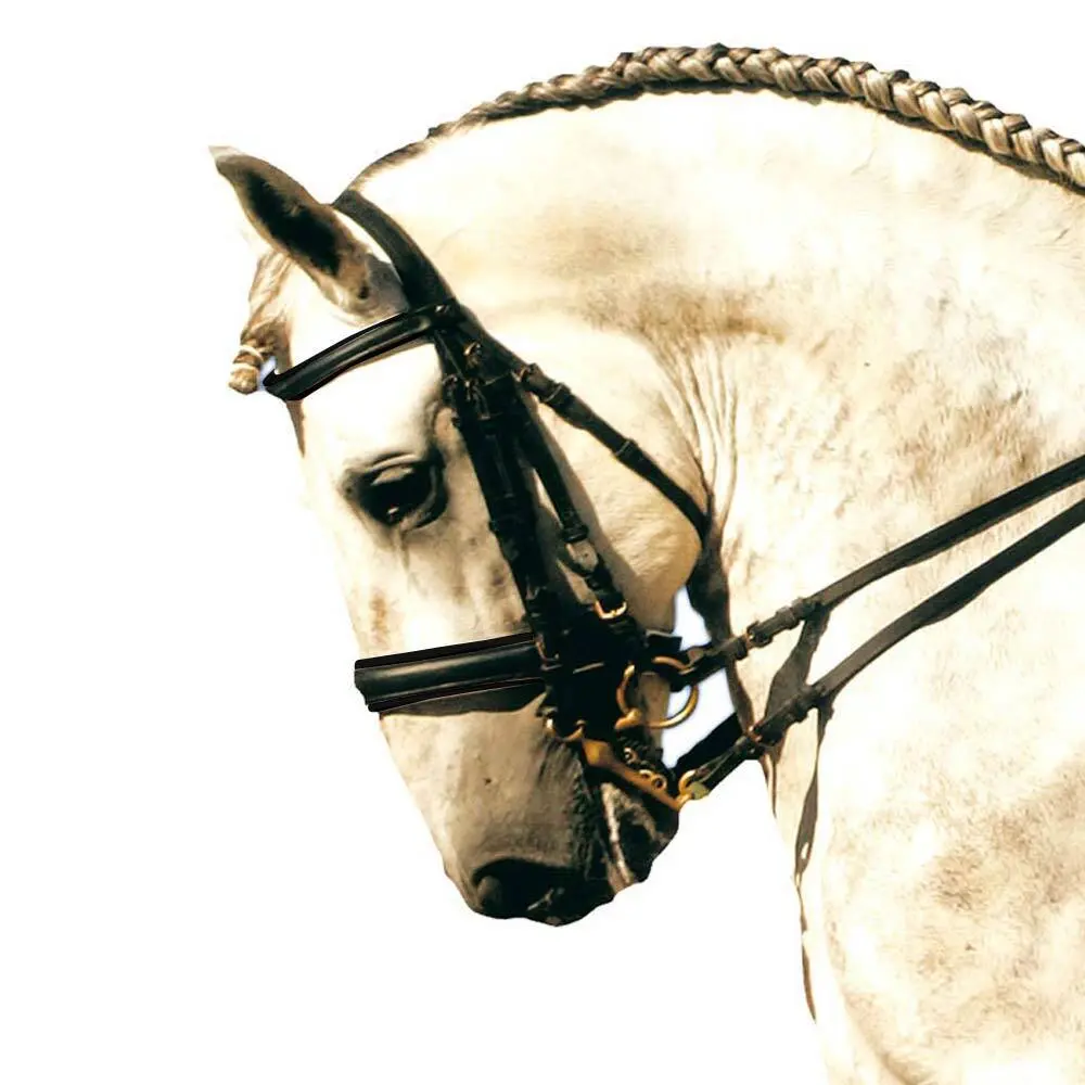 Bridons équitation pour cheval double Zaldi Sanjorge