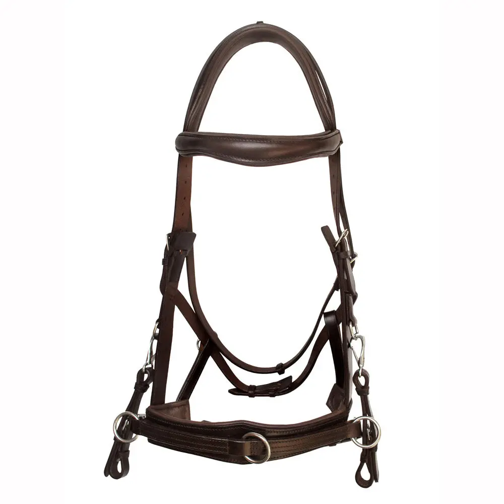 Bridons équitation pour cheval Zaldi AZB-501