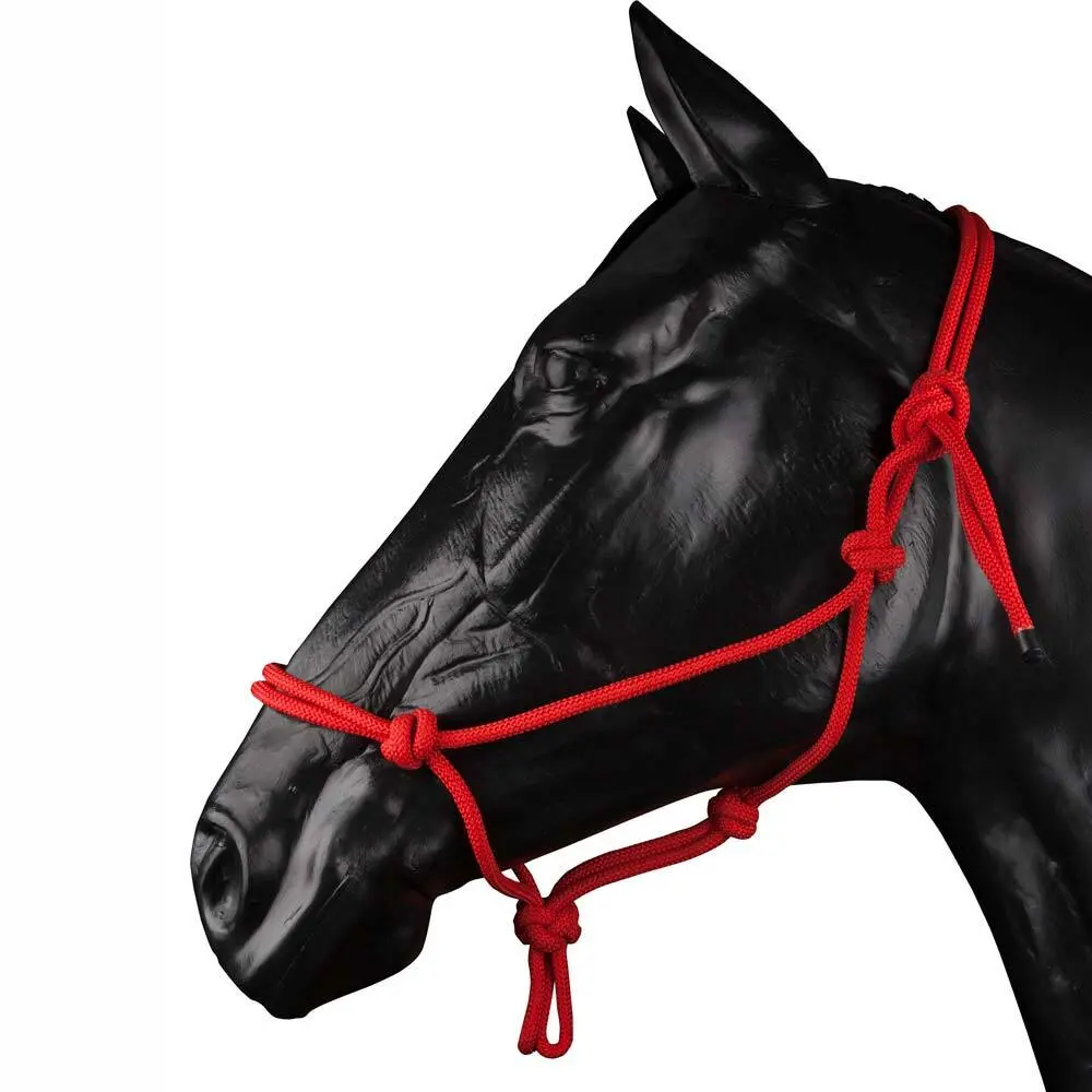 Licol pour cheval Zaldi