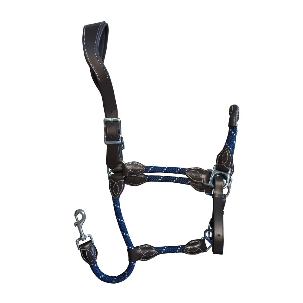 Ensemble licol et longe pour cheval Zaldi AZH461