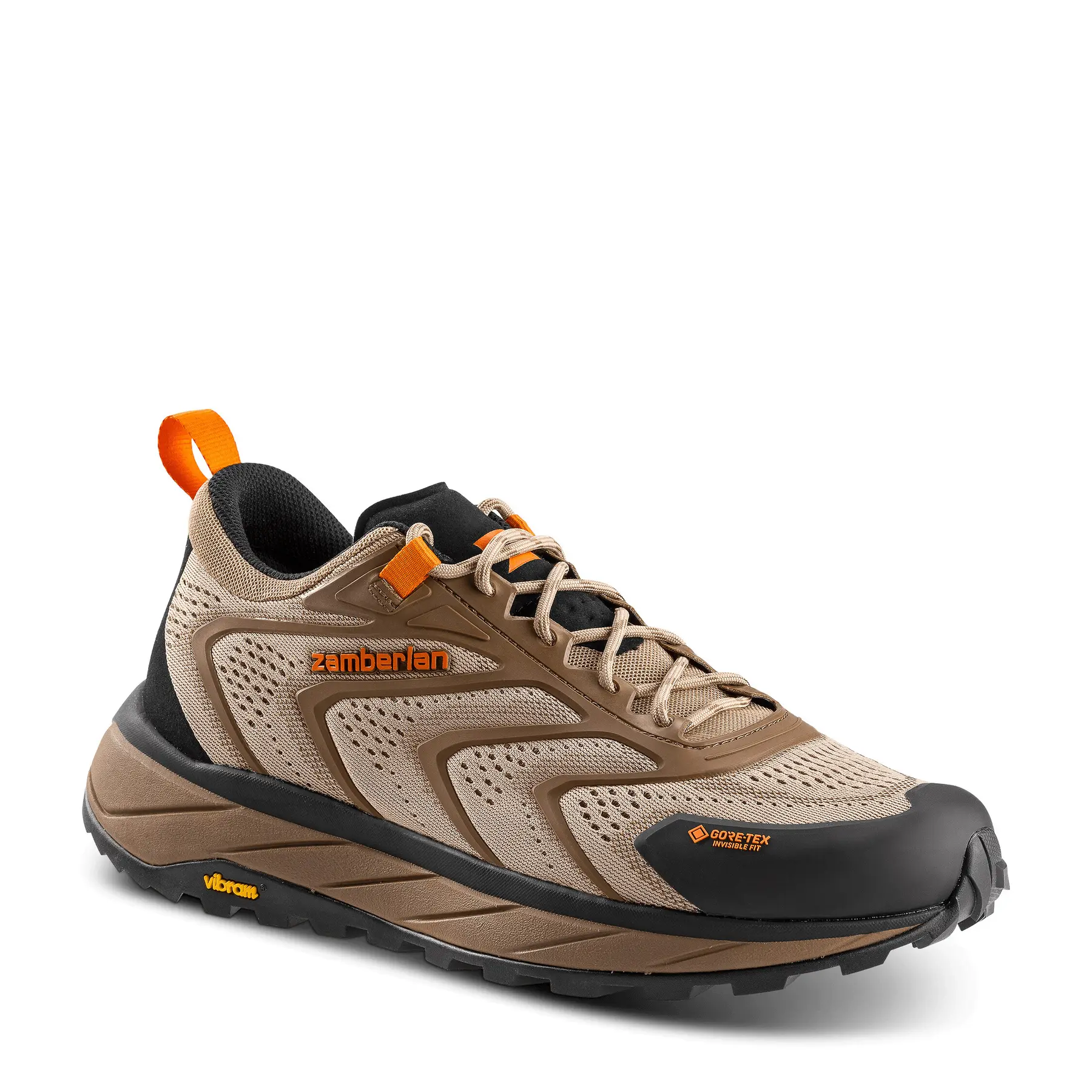 Hiking shoes Zamberlan Exotrail Gtx Low
