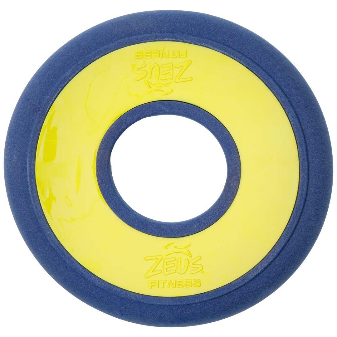 Meilleurs prix pour Jouet pour chien, disque à lancer Zeus Fitness Fetch
