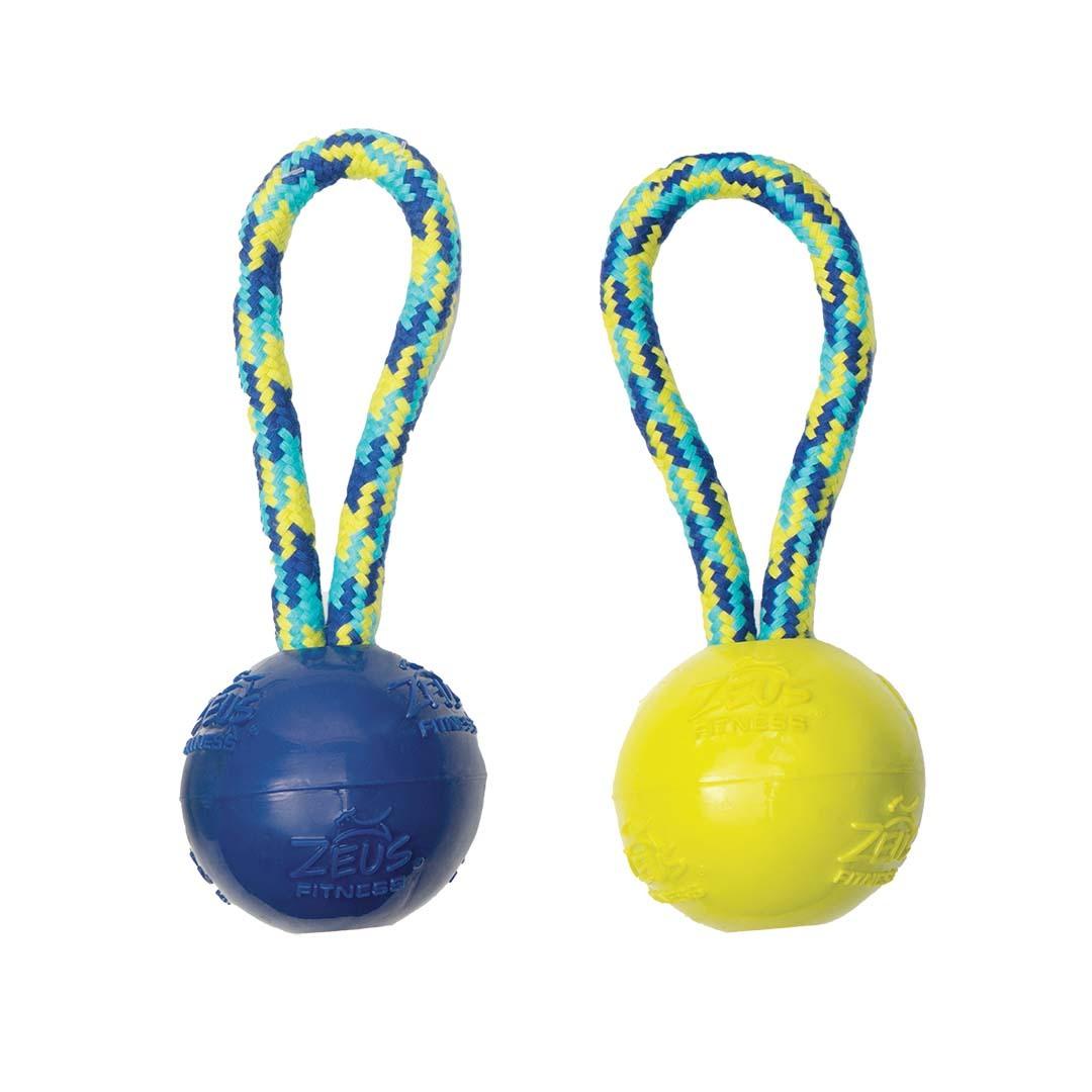 Meilleurs prix pour Balle pour chien Zeus K9 Tug