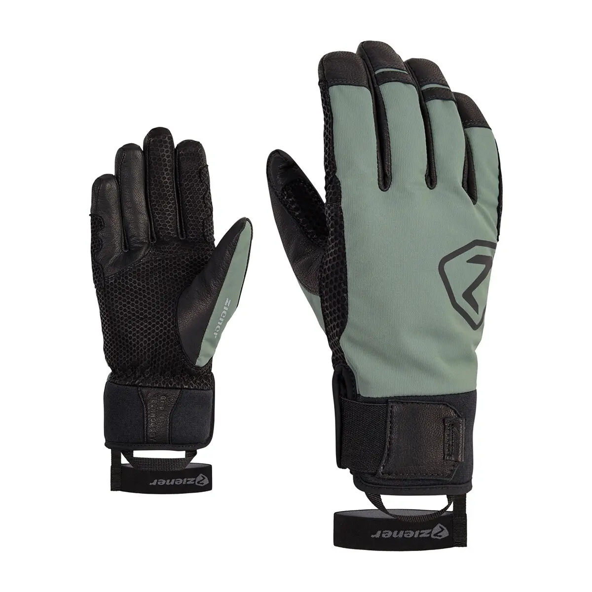 Alpine Skihandschuhe Ziener Gaspar AS(R) PR