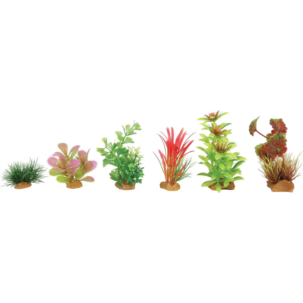 Zolux Vert Decor Plant Boit Mix Model 1 For Aquarium (X6)