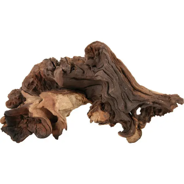 Comparer les prix de Racine petite Zolux Mopani