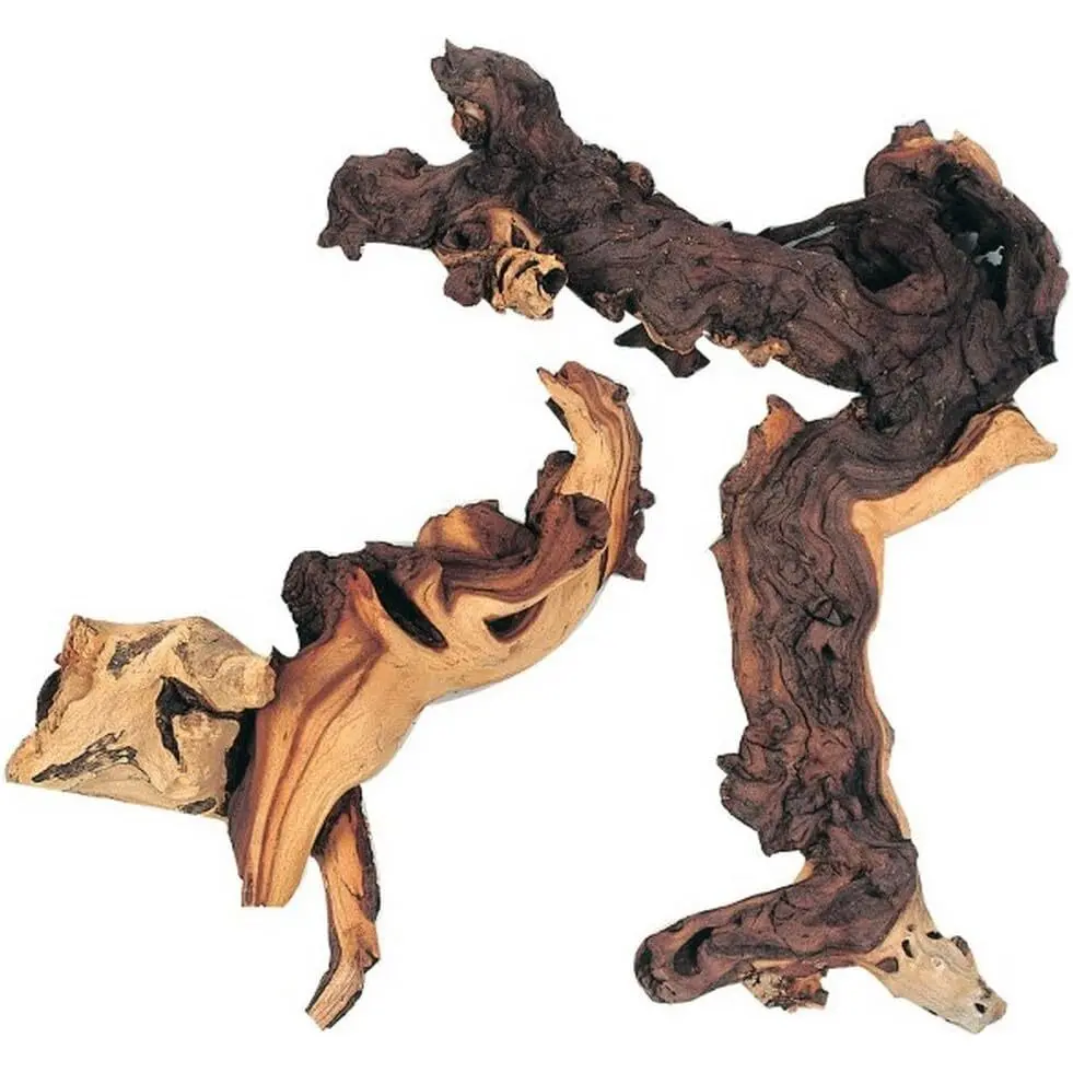 Meilleurs prix pour Racine naturelle pour l'aquarium Zolux Maupanie