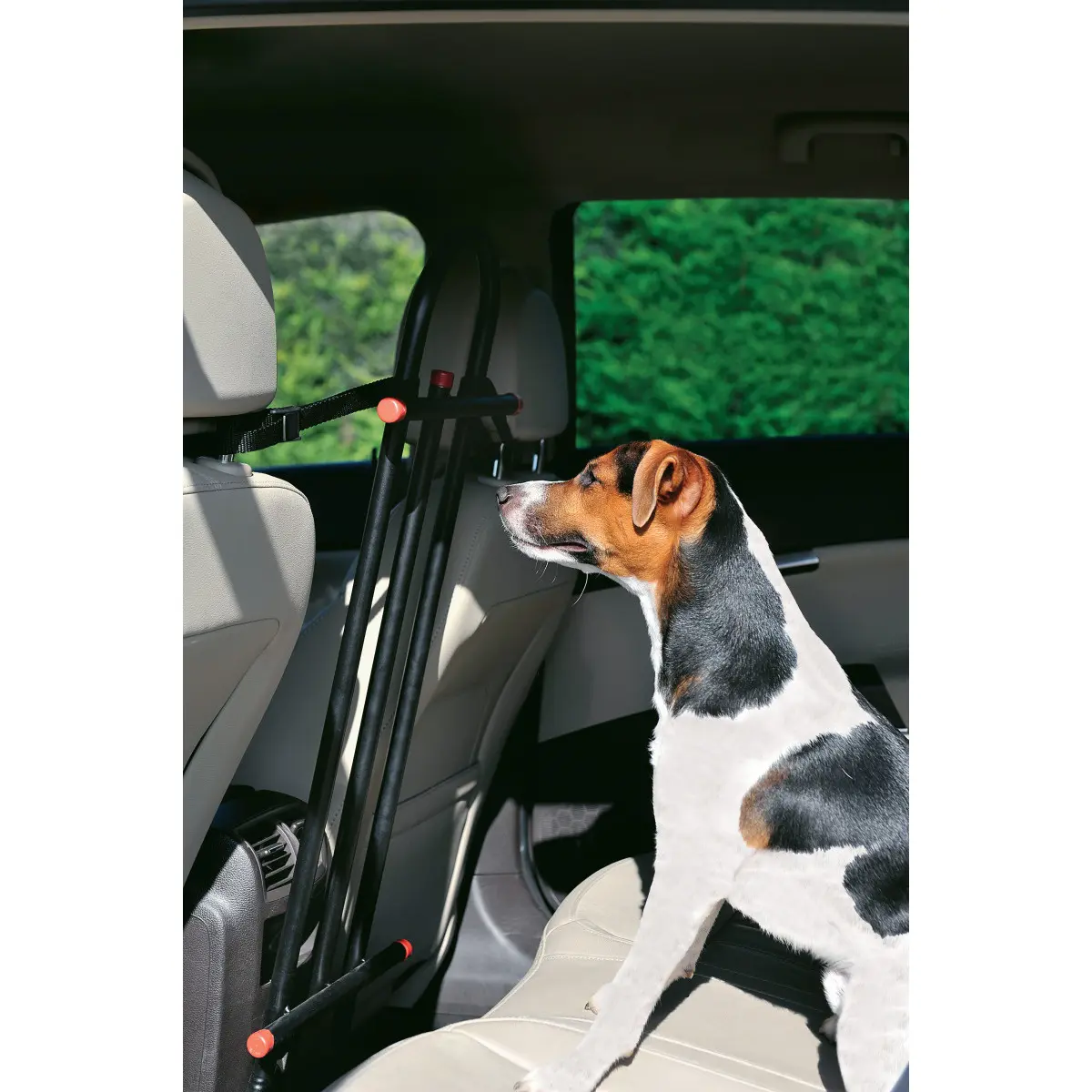 Zolux Noir Front Dog Guard