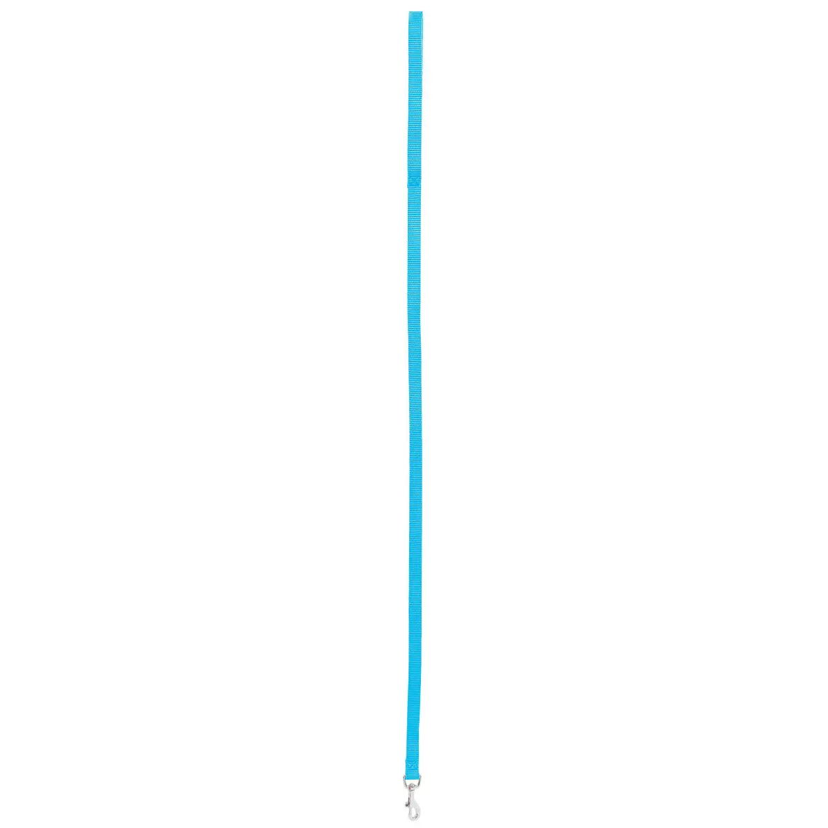 Zolux Turquoise Nylon Dog Leash