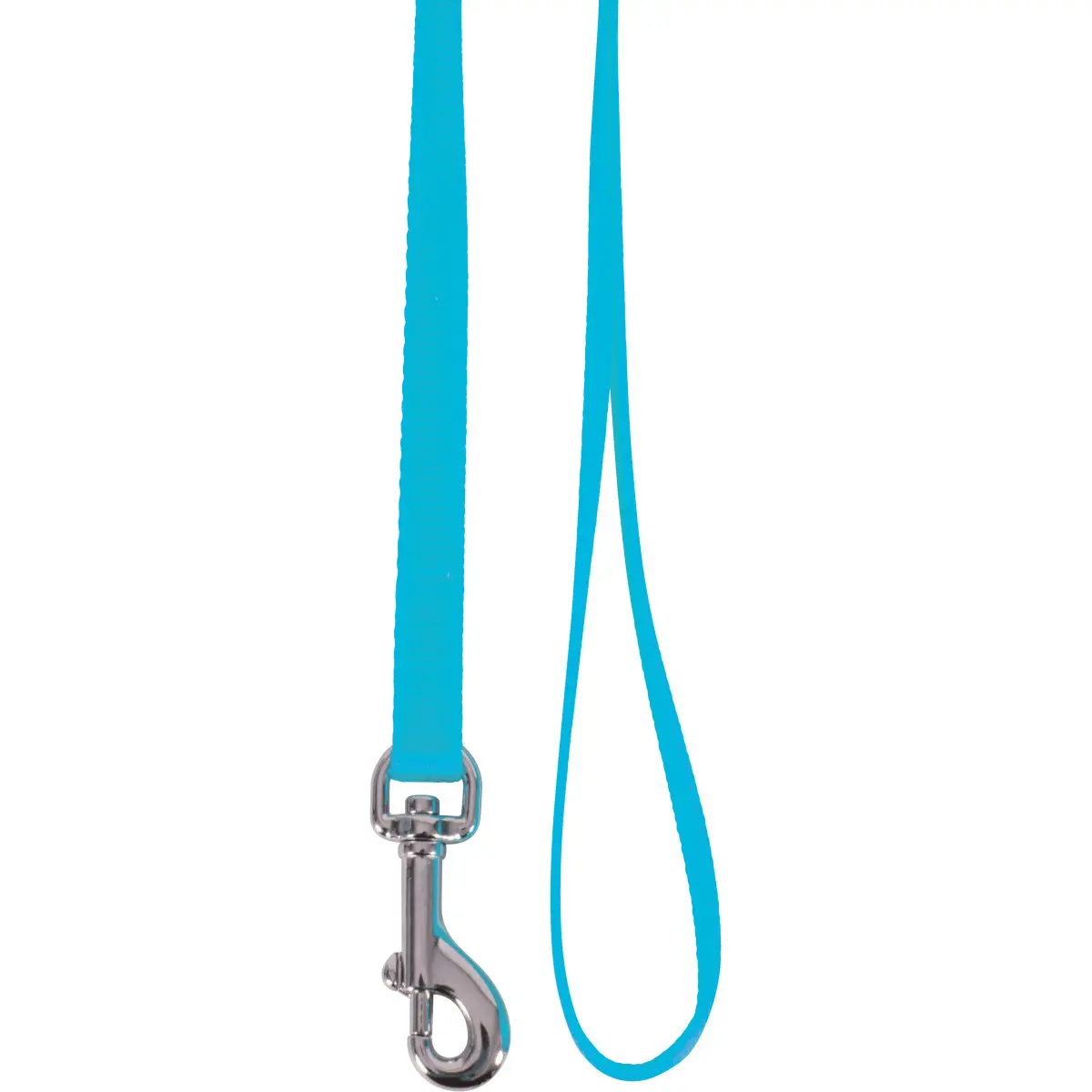Comparer les prix de Laisse Nylon Chat Turquoise