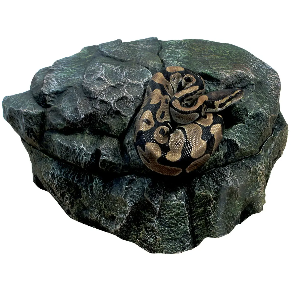 Comparer les prix de Abri pour reptiles Zoomed Shelter