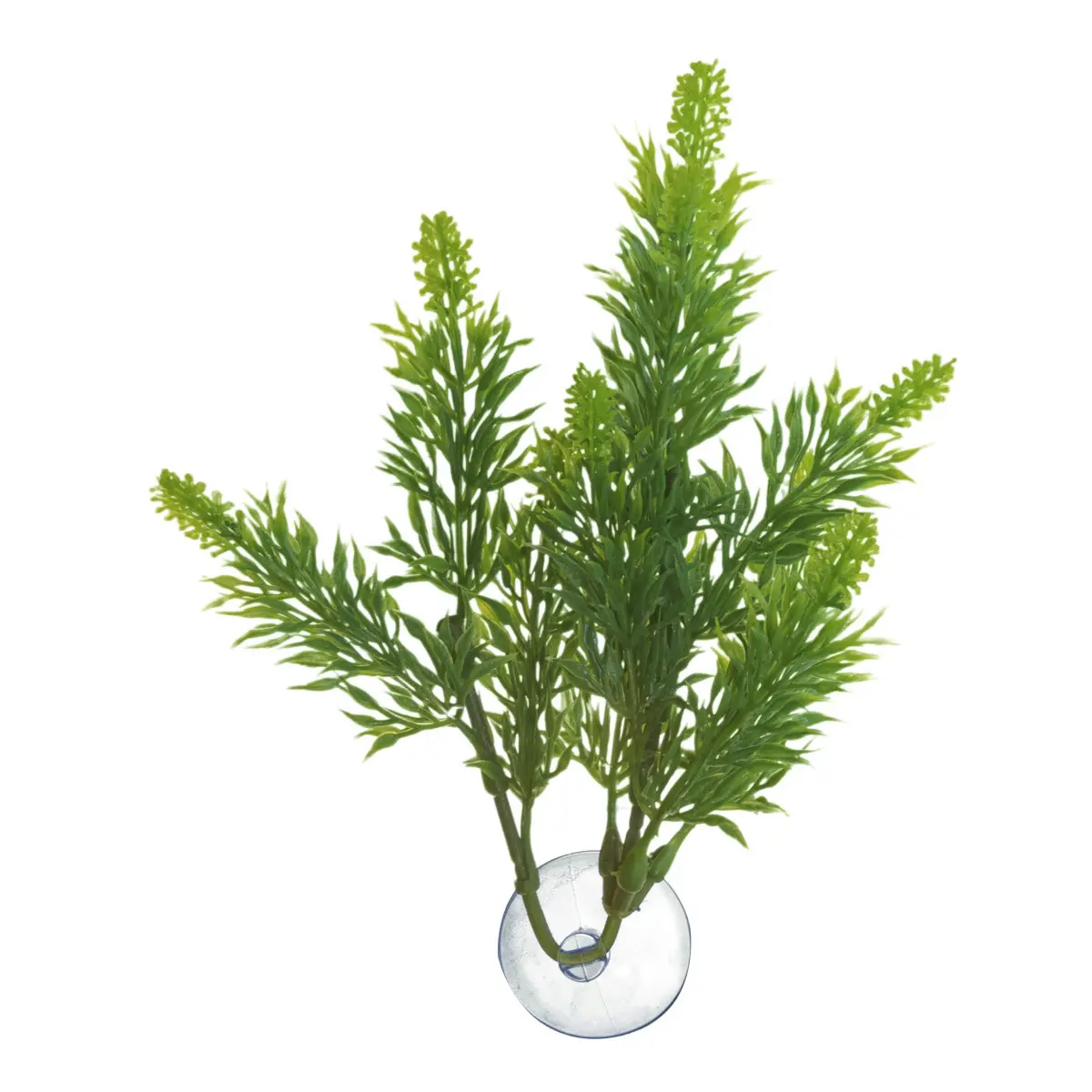 Meilleurs prix pour Plante feuille d'érable pour aquarium Zoomed Betta BP24