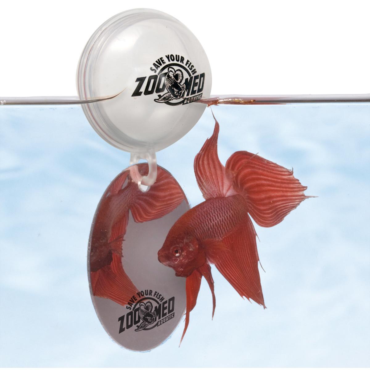 Comparer les prix de Décoration d’aquarium Zoomed Betta miroir be10e