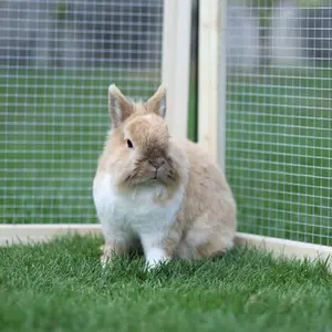 category Burar för gnagare