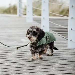 category Dog Jackets