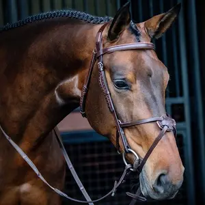 category Leathers & Harnesses