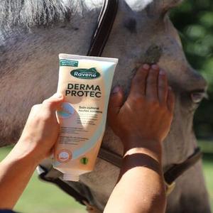 category Haut-/Fellpflege