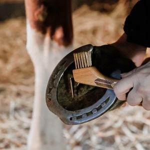 category Verzorging en supplementen