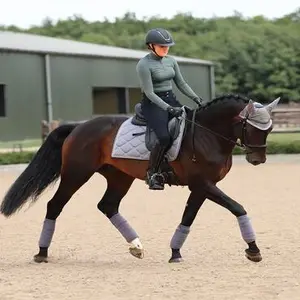 category Horses at Work