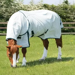 category Premier Equine