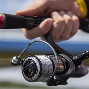 category Threads and Braids