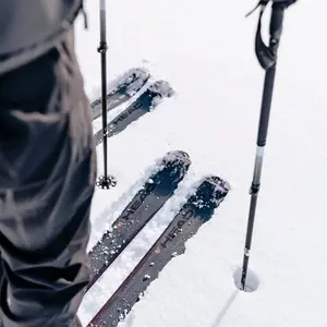 category Ski Sticks