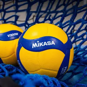category Volleyballs