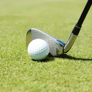 category Clubes de golf