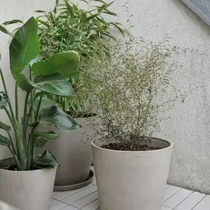 category Samen und Töpfe