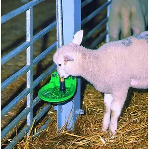 category Krmivo a napaječky