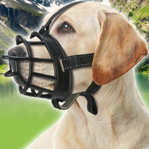 category Accessoires