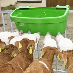 category Krmení telat