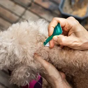 category Flea & Tick Repellents