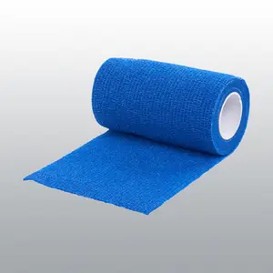 category Dressings & Bandages