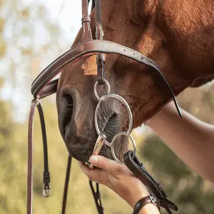 category The Bit Edit