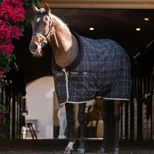 category Stable Blankets & Sheets