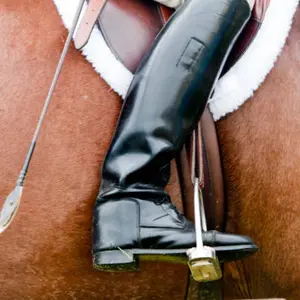 category Botas y Botines