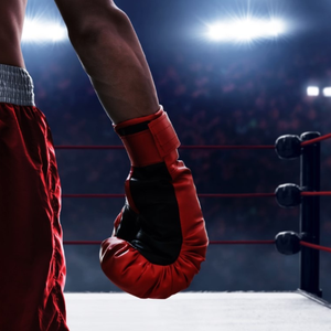 category Deportes de combate