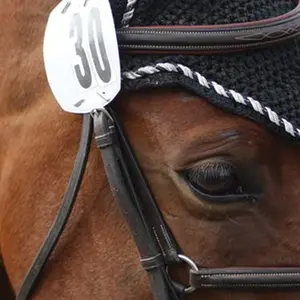 category Bridle Numbers & Holders