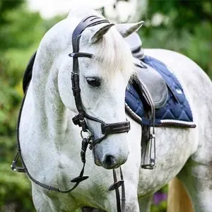 category Bridles & Leather