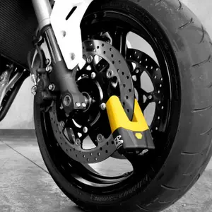 category Immobilizers and alarms