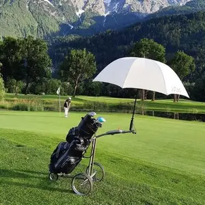 category Carros de Golf