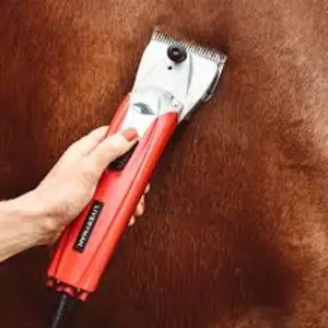 category Clippers & Trimmers