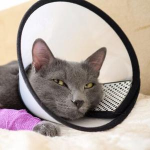 category Accessoires voor kettingen