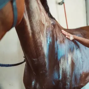 category Voor de douche