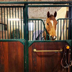 category Verlichting en veiligheid