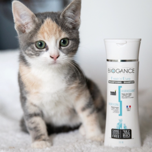 category Pielęgnacja sierści