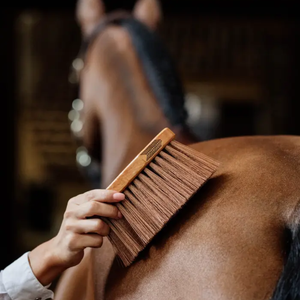 category Grooming Gear