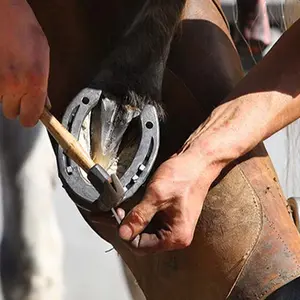 category Farrier Supplies