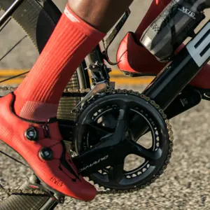 category Transmissão